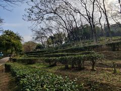 -广州市白云山风景名胜区