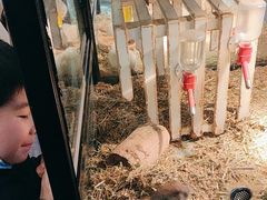 -宠物世家(仲盛世界商城店)