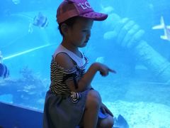 -乌鲁木齐海洋馆