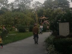 -晓港公园