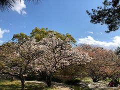 -京都御所