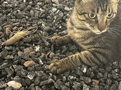 -DGE季风钓虾营地·团建·聚会