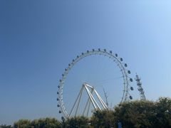 -日照海滨国家森林公园