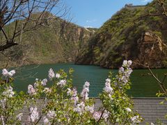 -辛玛王国游乐园