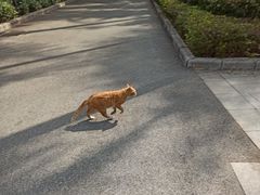 -晓港公园