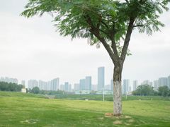-洋湖国家湿地公园