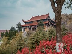 -游子山休闲旅游区