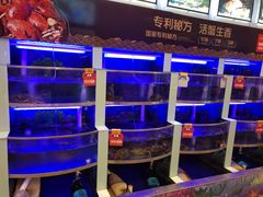水产区-七欣天(浦东羽山乐坊店)