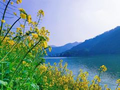 -新安江山水画廊风景区