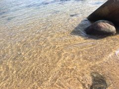 -广东惠东海龟国家级自然保护区