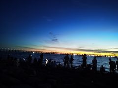 -宝安西湾红树林湿地公园