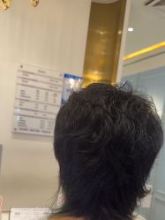-YESIDO椰岛造型