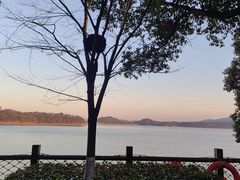 -天目湖山水园
