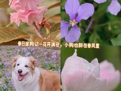 -绿堤公园