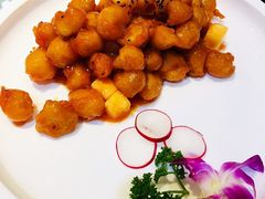 -朝郡酒家·粤菜(燕大星苑店)