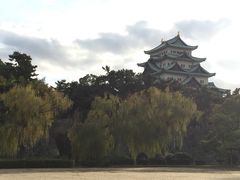 名古屋城-名古屋城