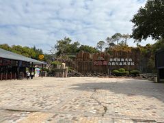 -漳州滨海火山岛自然生态风景区