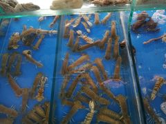 -东海章鱼馆(恒瑞街店)