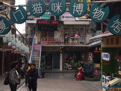 -猫咪博物馆(顶澳仔猫街店)