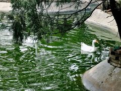 -森林公园(尖草坪区)