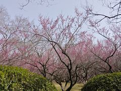 -采石矶景区