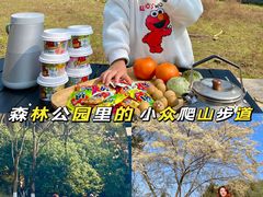 -铁山坪森林公园