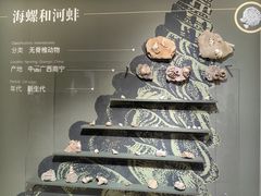 -遇见博物馆(遇见海洋沉浸式奇幻光影展)