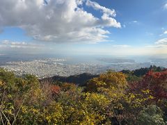 -神户市立六甲山牧场