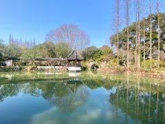 -上海醉白池公园