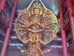 -上海东林寺(金山区)