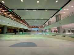 -TheRink大零溜冰场(IFS国金中心店)