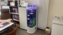 -联合丽格·张菡丽格医疗美容