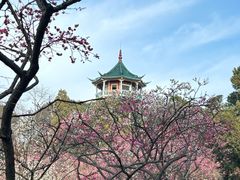 -无锡梅园公园