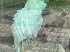 -青藏高原野生动物园