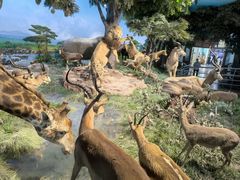 -国家自然博物馆