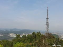 -水濂山森林公园