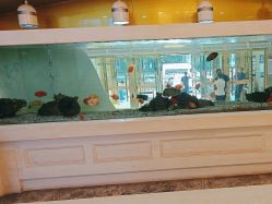 -武汉五洲整形外科医院