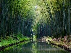 -同里国家湿地公园