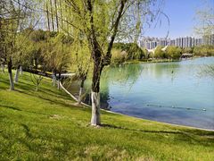 -天鹅湖体育公园