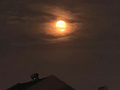 -星巴克(北京新东安)