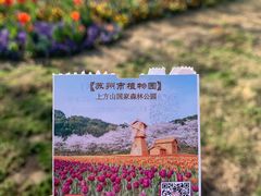 -苏州上方山国家森林公园