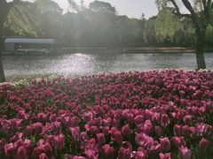-上海鲜花港