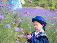 -东海半边山旅游度假区