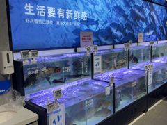 -物美大卖场(玉蜓桥店)