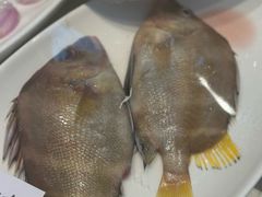 -渔满仓海鲜渔家(象山二店)