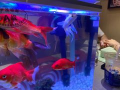 -海底捞火锅(武胜路凯德广场店)