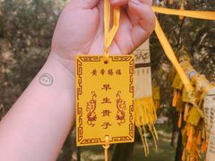 -黄帝陵