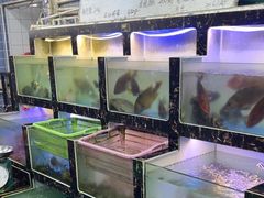 -众味海鲜大排档·活海鲜·潮汕味(南澳店)