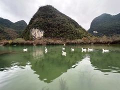 -靖西鹅泉风景区