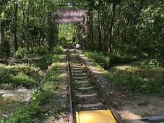 -合肥滨湖国家森林公园